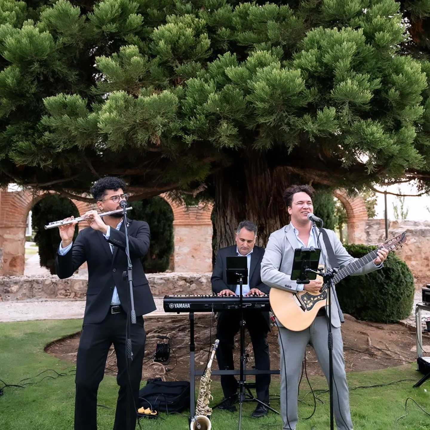 Grupo de música en boda elegante